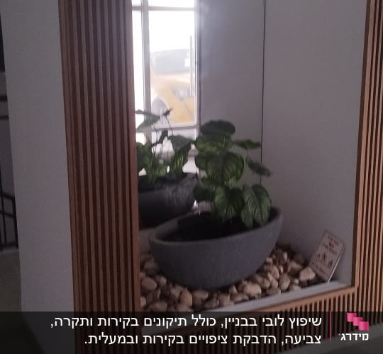 נישה דקורטיבית בקיר עם חיפוי סרגלי עץ ומראה